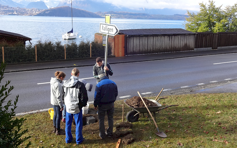Zivildienst und IJFD